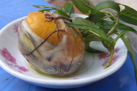 nguoi-day-nen-an-trung-vit-lon