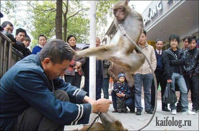 Nóng chảy mỡ, chị em tìm cách tắm nắng mọi lúc mọi nơi hình ảnh 5 nong chay mo, chi em tim cach tam nang moi luc moi noi hinh anh 5