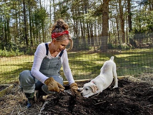 Melissa Gilbert hài lòng với cuộc sống hiện tại. Melissa Gilbert hài lòng với cuộc sống hiện tại.