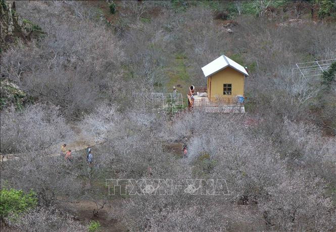 Phê duyệt Quy hoạch chung xây dựng Khu Du lịch quốc gia Mộc Châu ảnh 1 Chú thích ảnh