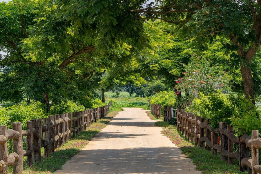 Không gian xanh mát, trong lành tại trang trại bò sữa Vinamilk Organic Đà Lạt Không gian xanh mát, trong lành tại trang trại bò sữa Vinamilk Organic Đà Lạt
