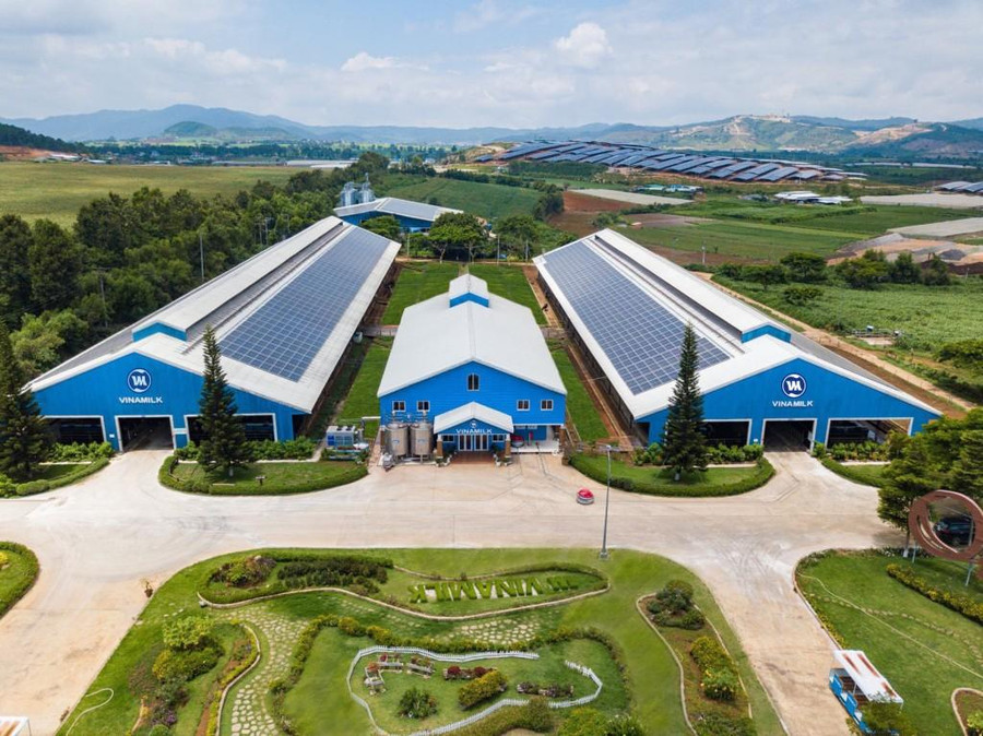 Hệ thống năng lượng mặt trời được lắp đặt giúp tiết kiệm điện năng hiệu quả Hệ thống năng lượng mặt trời được lắp đặt giúp tiết kiệm điện năng hiệu quả