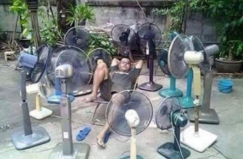 Bí kíp chống nóng ngày hè ảnh 4 Nhà không có gì ngoài quạt máy.