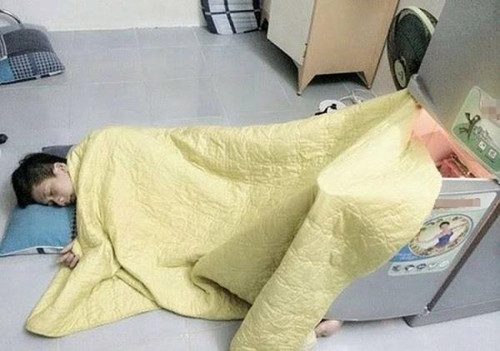 Bí kíp chống nóng ngày hè ảnh 8 Nóng thế này ngủ cạnh tủ lạnh là sướng nhất.