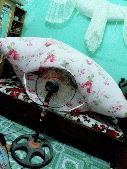Bí kíp chống nóng ngày hè ảnh 1 Thế này mới mong giảm được nắng nóng.