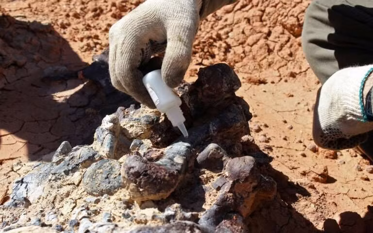 Công tác khai quật được tiến hành.