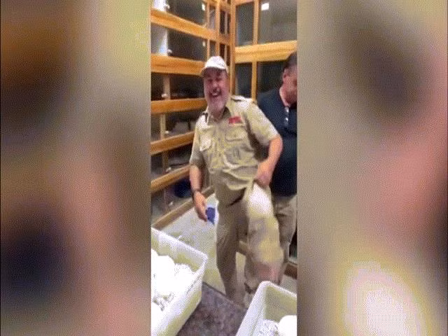 ta hoa thay tran khong lo nam dai thuon thuot tren mai nha dan hinh anh 1