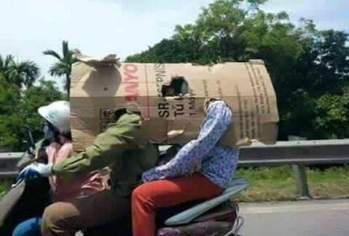 Bí kíp chống nóng ngày hè ảnh 6 Bìa cứng được tận dụng triệt để.