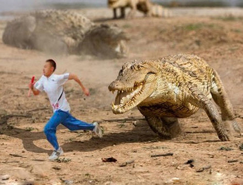 Hậu quả khi nhờ cư dân mạng sửa ảnh ảnh 10 Giờ thì gió cũng khó đuổi kịp.