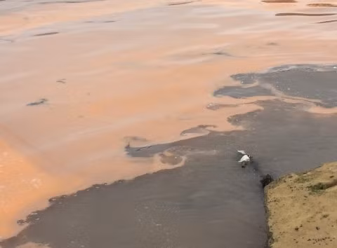 Vệt nước đỏ xuất hiện tại mép biển ở xã Quảng Đông được cơ quan chức năng tỉnh Quảng Bình cho biết đó là Thủy triều đỏ. 