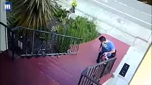 Chó ngã lăn nhiều vòng xuống cầu thang vì quá béo