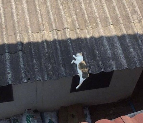 Buồn nào rồi cũng sẽ qua, chỉ có buồn ngủ không tha lúc nào.