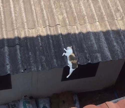 Buồn nào rồi cũng sẽ qua, chỉ có buồn ngủ không tha lúc nào.