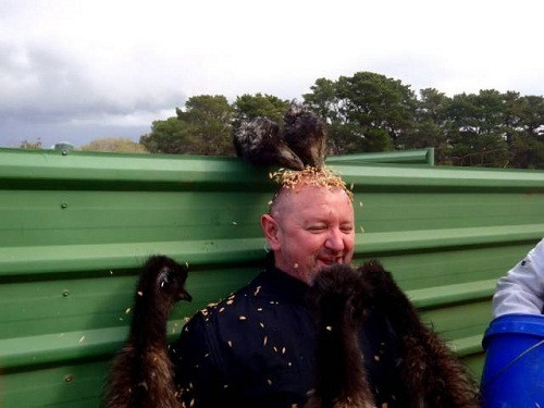 Đất lành chim đậu.