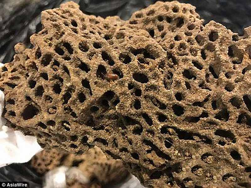 nguoi dan ong tq be nguyen mot to kien khong lo len may bay hinh anh 1