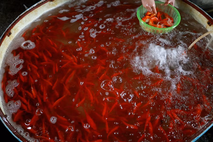 Theo một thương lái cho biết cá cung ứng ra thị trường năm nay đảm bảo đẹp mã, màu sắc sặc sỡ, trọng lượng đủ đáp ứng nhu cầu của người dân.