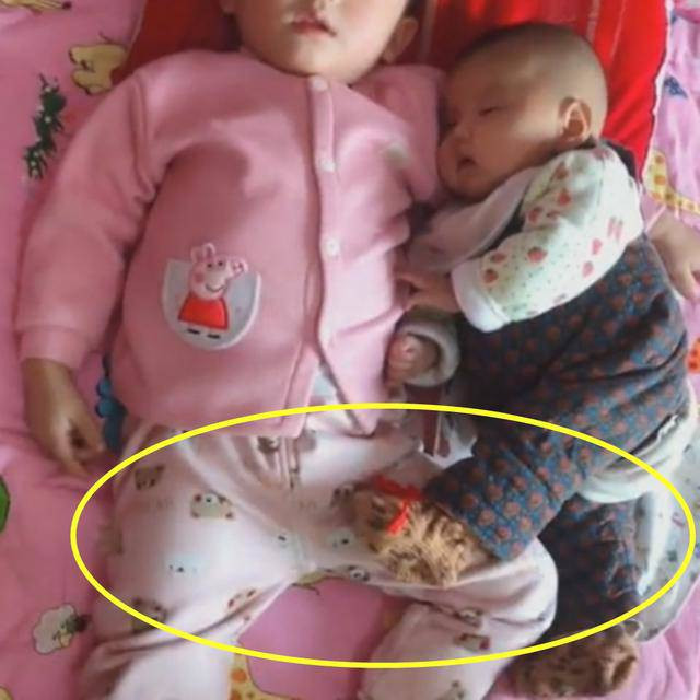 cho con so sinh ngu cung be lon, khi gio chan ra nguoi me goi chong den ngay lap tuc - 2