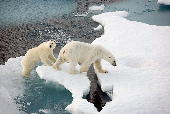 thanh pho duy nhat tren the gioi cam tu vong, cai chet bi coi la bat hop phap - 6