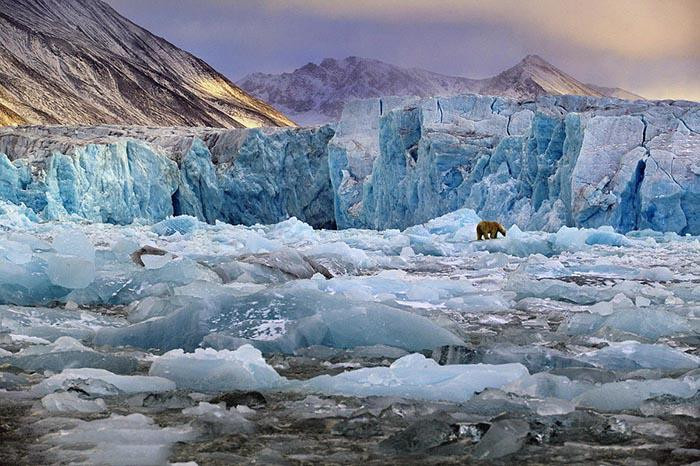 thanh pho duy nhat tren the gioi cam tu vong, cai chet bi coi la bat hop phap - 2