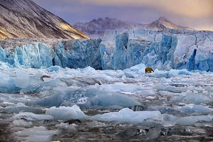 thanh pho duy nhat tren the gioi cam tu vong, cai chet bi coi la bat hop phap - 2