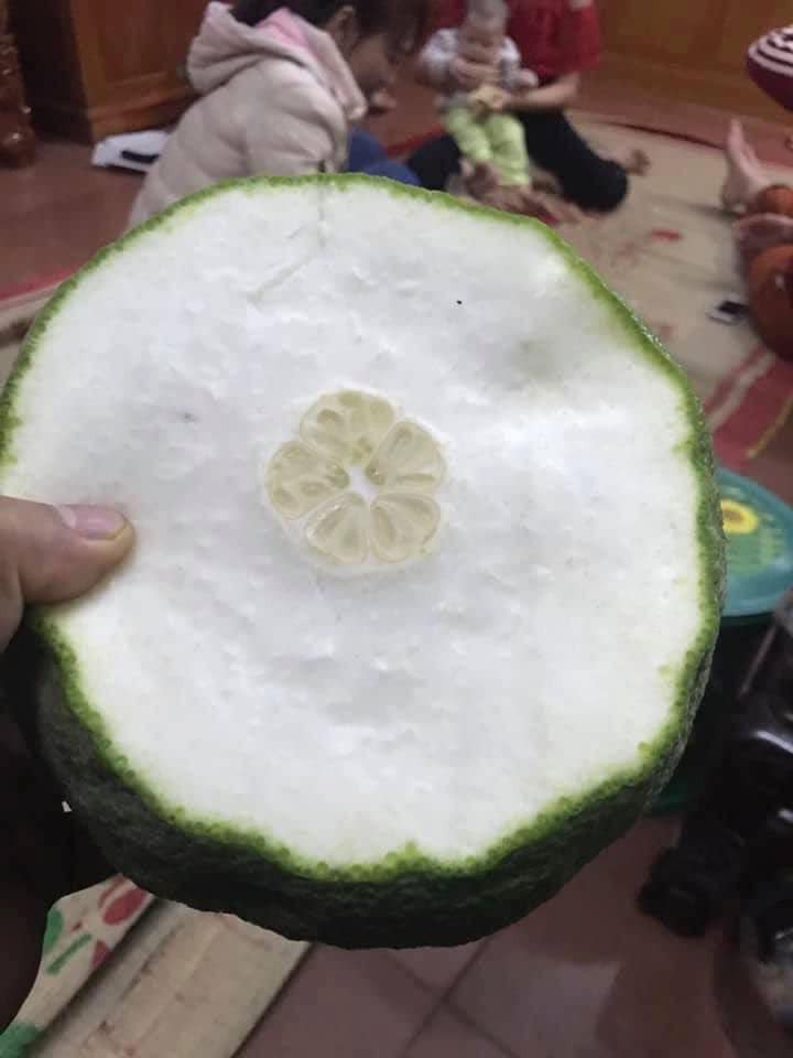 Nghe lời chị bán hàng, ngon và ngọt thật. Nghe lời chị bán hàng, ngon và ngọt thật.