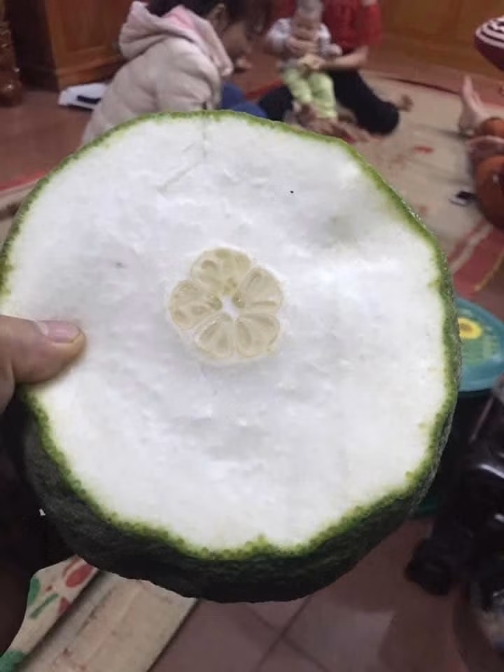 Nghe lời chị bán hàng, ngon và ngọt thật.