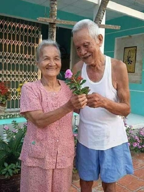 Valentine giản đơn của tình già. Valentine giản đơn của tình già.