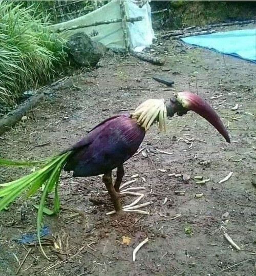 Tác phẩm nghệ thuật ‘cây nhà lá vườn’. Tác phẩm nghệ thuật cây nhà lá vườn.