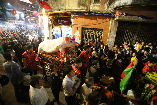 Đến khoảng 21h ngày 13 tháng Giêng, sau khi “dạo quanh” làng các “Ông lợn” lần lượt được rước vào đình dưới sự hướng dẫn của Ban tổ chức và các cụ cao niên. Đến 00h, các cụ cao niên bắt đầu làm lễ tế, thời gian kéo dài đến 1 hoặc 2h sáng ngày hôm sau.