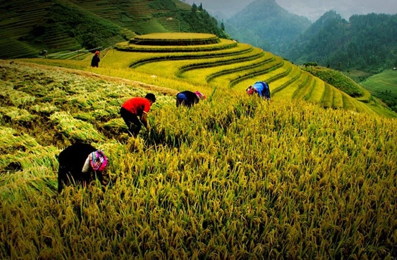 Vietnam Heritage Photo Awards 2017 vẫn giữ các đề tài nhiếp ảnh truyền thống. 