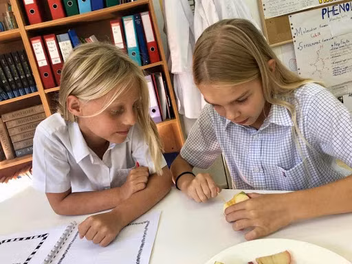 HS Bồ Đào Nha ngày nay.