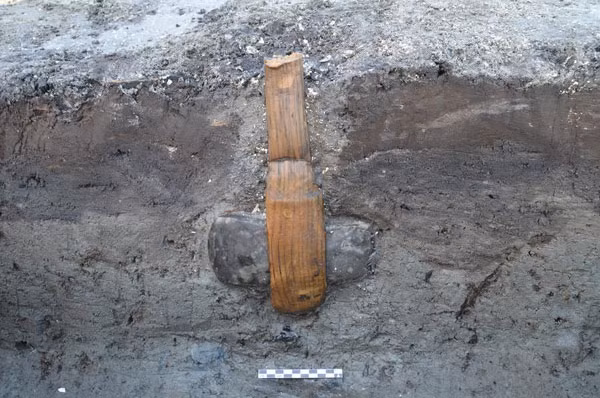 Nồng độ oxy thấp trong đất giúp bảo tồn cán gỗ của chiếc rìu.