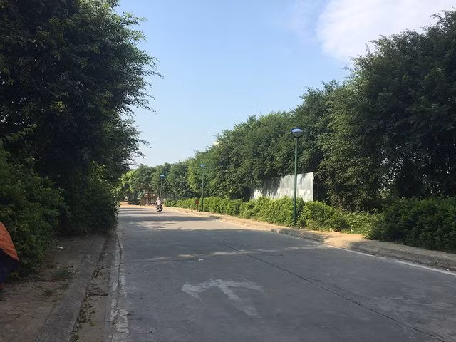 ron nguoi: bat ca chuc con ran ho mang khung o chung cu giua thu do hinh anh 3