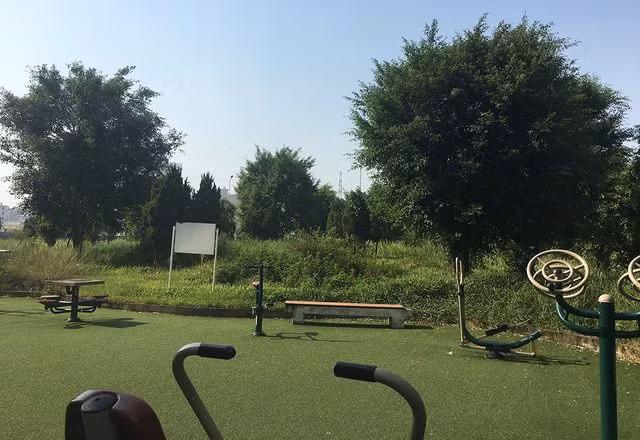 ron nguoi: bat ca chuc con ran ho mang khung o chung cu giua thu do hinh anh 7