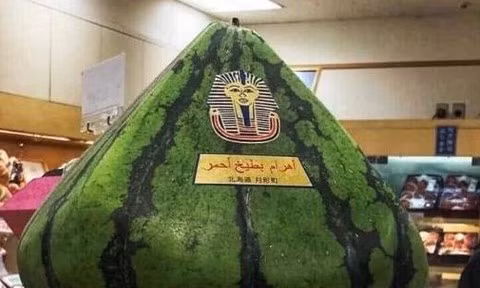 Dưa hấu hình kim tự tháp.