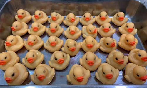 Vịt cao su được bác sĩ thú ylấy ra từ bụng Devil. Ảnh: Viral Press.