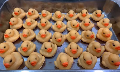 Vịt cao su được bác sĩ thú ylấy ra từ bụng Devil. Ảnh: Viral Press.