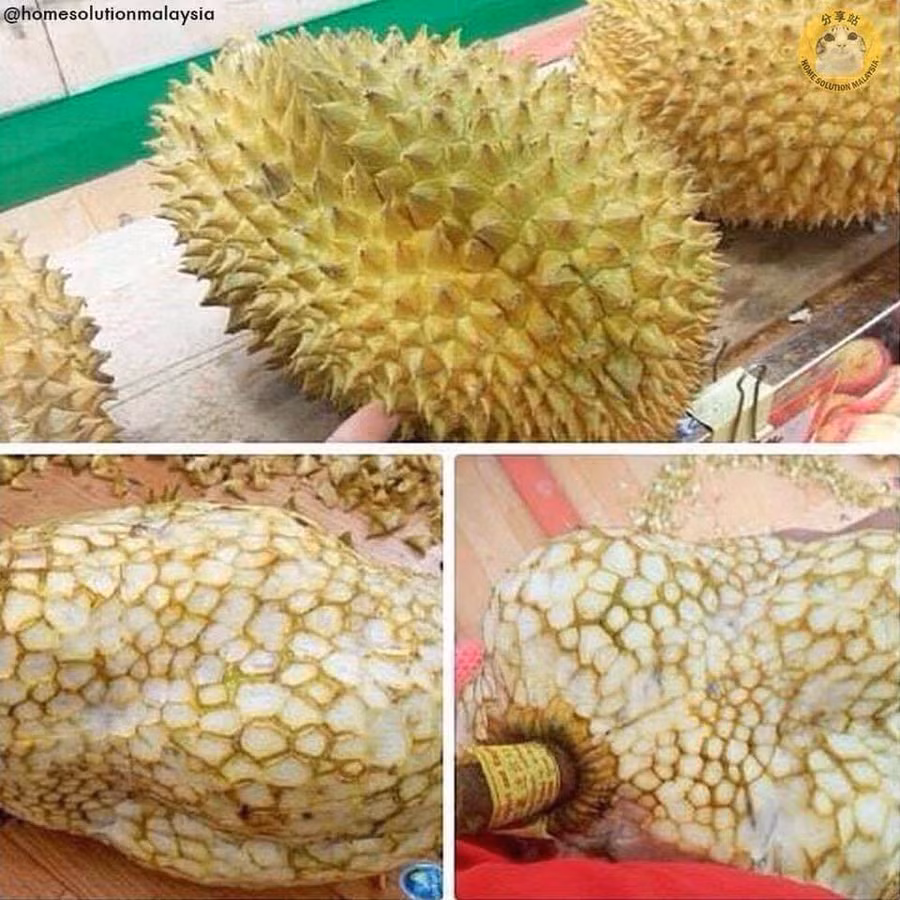 Yên tâm rồi, đỡ đâm vào tay.