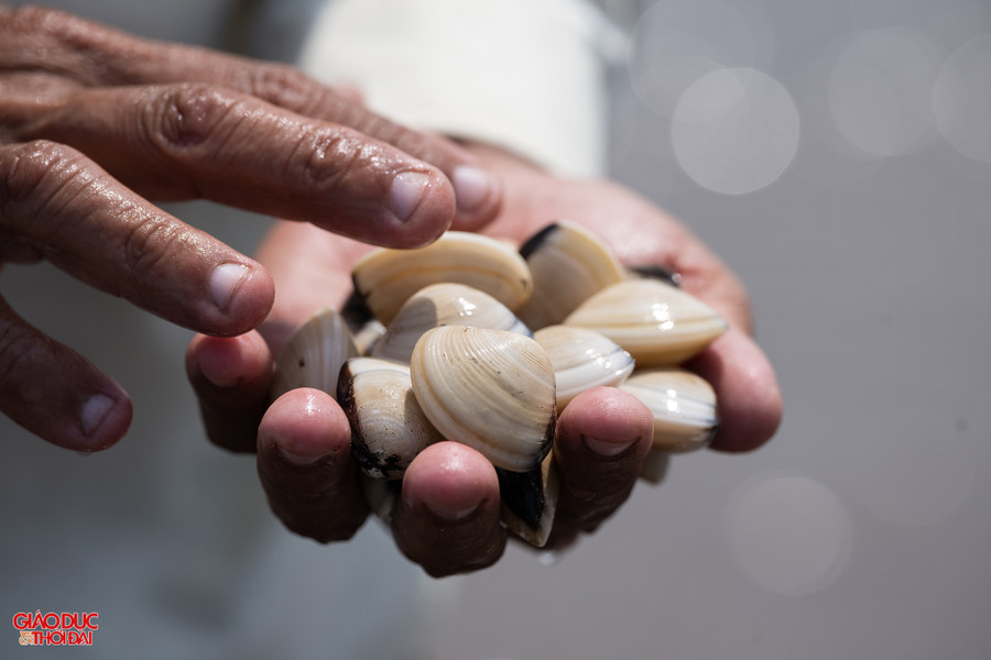 Chứng nhận theo tiêu chuẩn ASC là sự xác nhận cấp quốc tế đối với thủy sản được nuôi có trách nhiệm, giảm thiểu tối đa tác động xấu lên môi trường, hệ sinh thái, cộng đồng dân cư và đảm bảo tốt các quy định về lao động. Ảnh: Phạm Tâm.