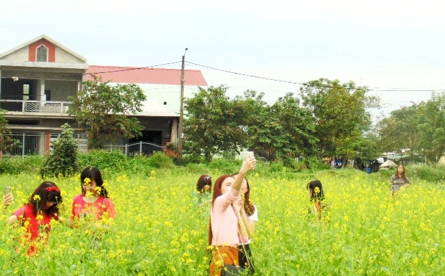 Bạn trẻ Huế mê mẩn mùa hoa cải vàng dịp cận Tết