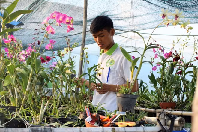 Nhộn nhịp vào mùa sinh viên làm thêm