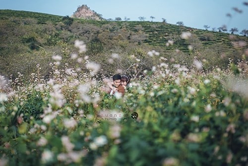 Bộ ảnh cưới đẹp như mơ ở Mộc Châu của cặp đôi “oan gia“ ảnh 7