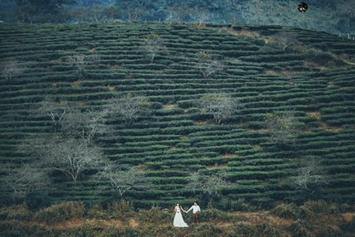 Bộ ảnh cưới đẹp như mơ ở Mộc Châu của cặp đôi “oan gia“ ảnh 9