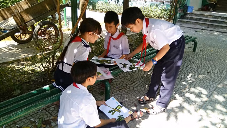 Giờ học Mỹ thuật ngoài trời của Trường Tiểu học Núi Thành (quận Hải Châu, TP Đà Nẵng). 