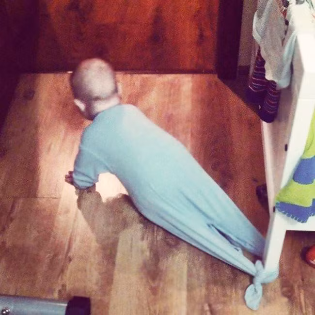 Cứ bò thoải mái con nhé, nhưng chỉ trong phạm vi cho phép.