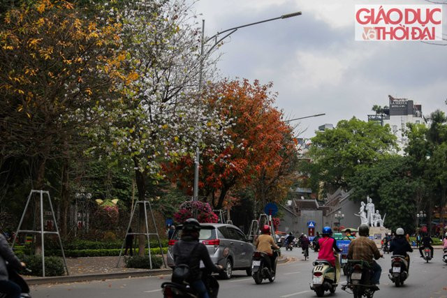 Những mảng màu trên đường Đinh Tiên Hoàng làm cho ai đã từng đi qua cũng níu chân lại