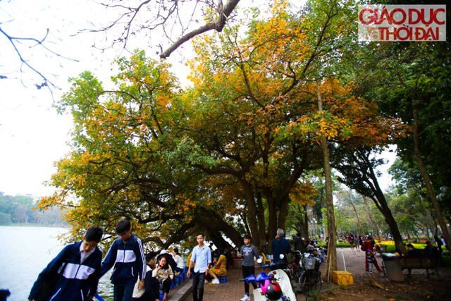 Một góc đường Đinh Lễ gợi nhiều nét xưa Hà Thành