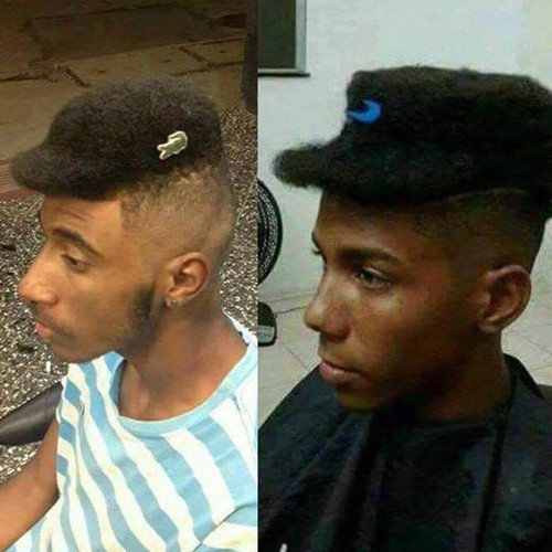 Những ảnh hài hước ngày 15/2 ảnh 3 Mái tóc tạo nên thương hiệu.