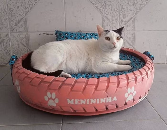 Biến hóa lốp xe bỏ đi thành giường ngủ xinh đẹp cho thú cưng ảnh 12 Biến hóa lốp xe bỏ đi thành giường ngủ xinh đẹp cho thú cưng ảnh 12