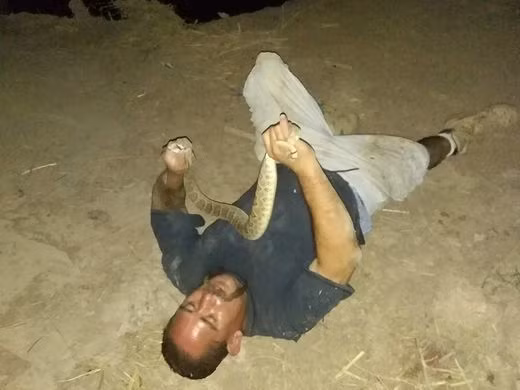  Pratt quyết định thể hiện cho mọi người xem cách bắt và nấu rắn 